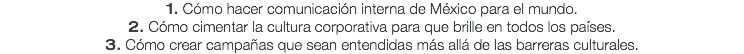 1. Cómo hacer comunicación interna de México para el mundo.
2. Cómo cimentar la cultura corporativa para que brille en todos los países.
3. Cómo crear campañas que sean entendidas más allá de las barreras culturales.